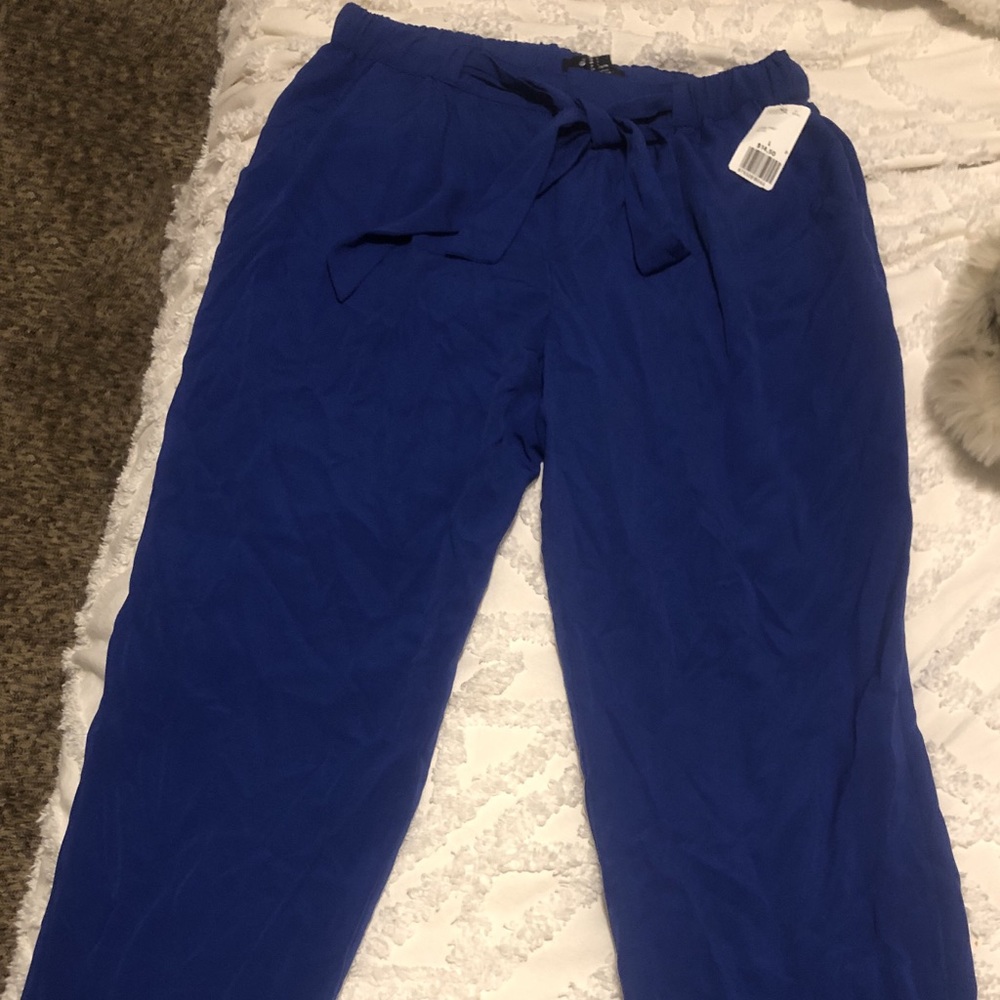Royal blue pants